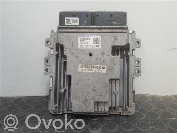Otras unidades de control/módulos   391002U250