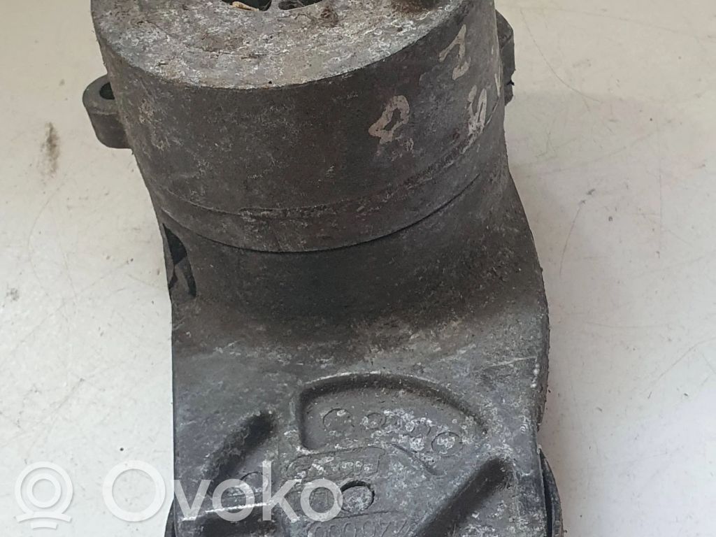 Audi A6 S6 C5 4B Întinzător curea generator/alternator 
