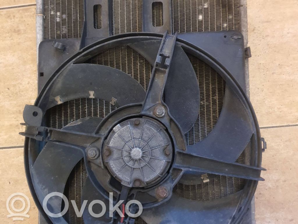 Ford Escort Dzesēšanas šķidruma radiators 