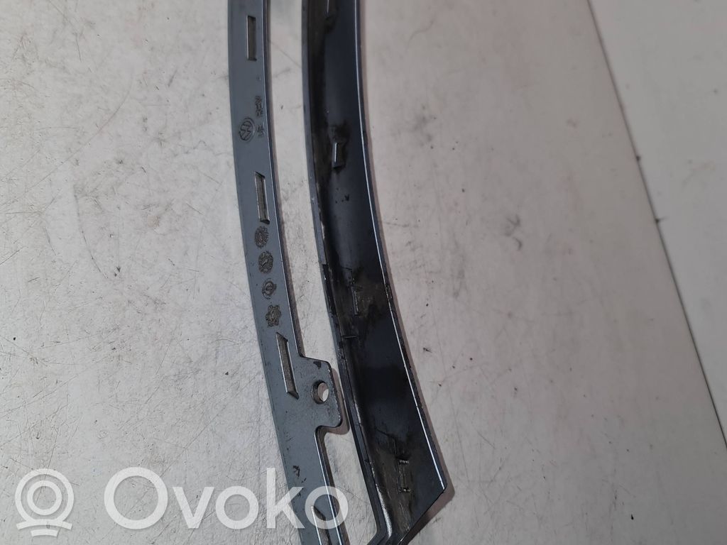 Volkswagen PASSAT B6 Front indicator light 