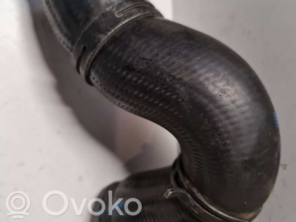 Volkswagen Sharan Interkūlerio žarna (-os)/ vamzdelis (-iai) 