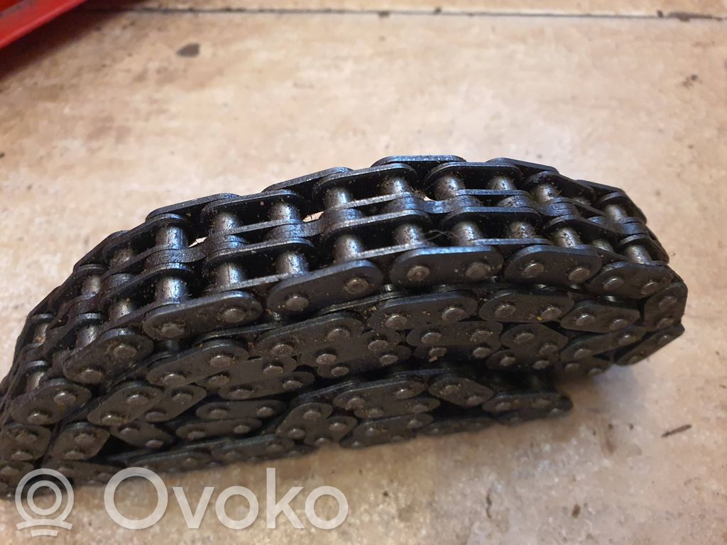 Steuerkette (Motor)