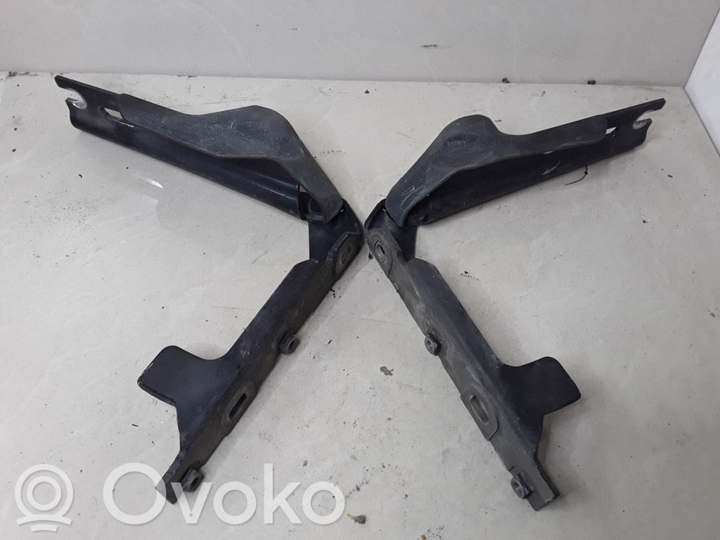 Engine bonnet/hood hinges