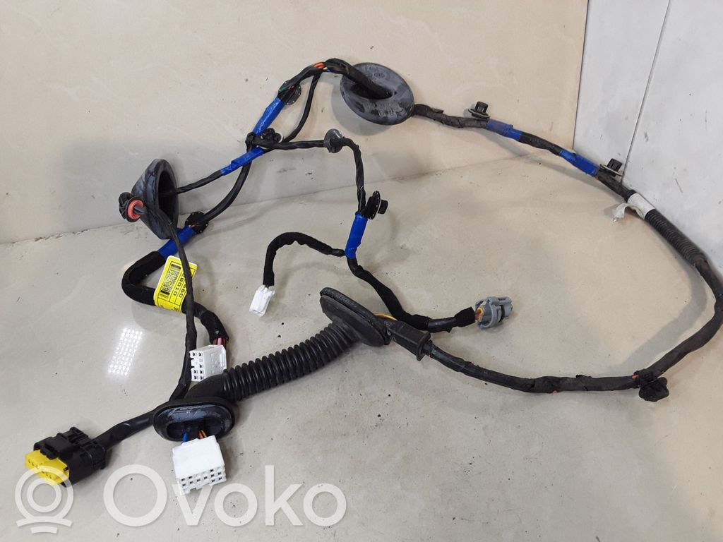 Cableado de puerta trasera   916602B010,919803K040