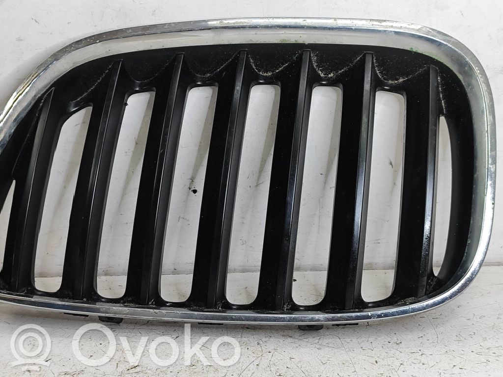 BMW X5 E53 Augšējais režģis 