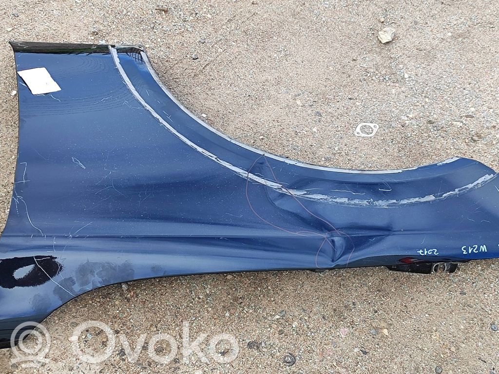 Błotnik przedni   A2138810143