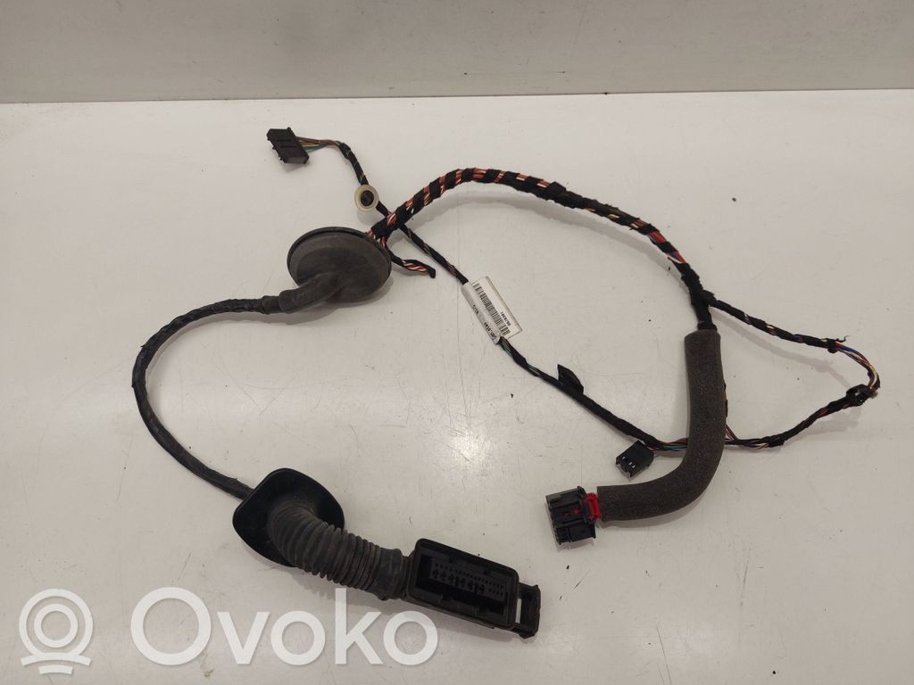 Wiązka przewodów drzwi tylnych   69J0301,5E0971693C