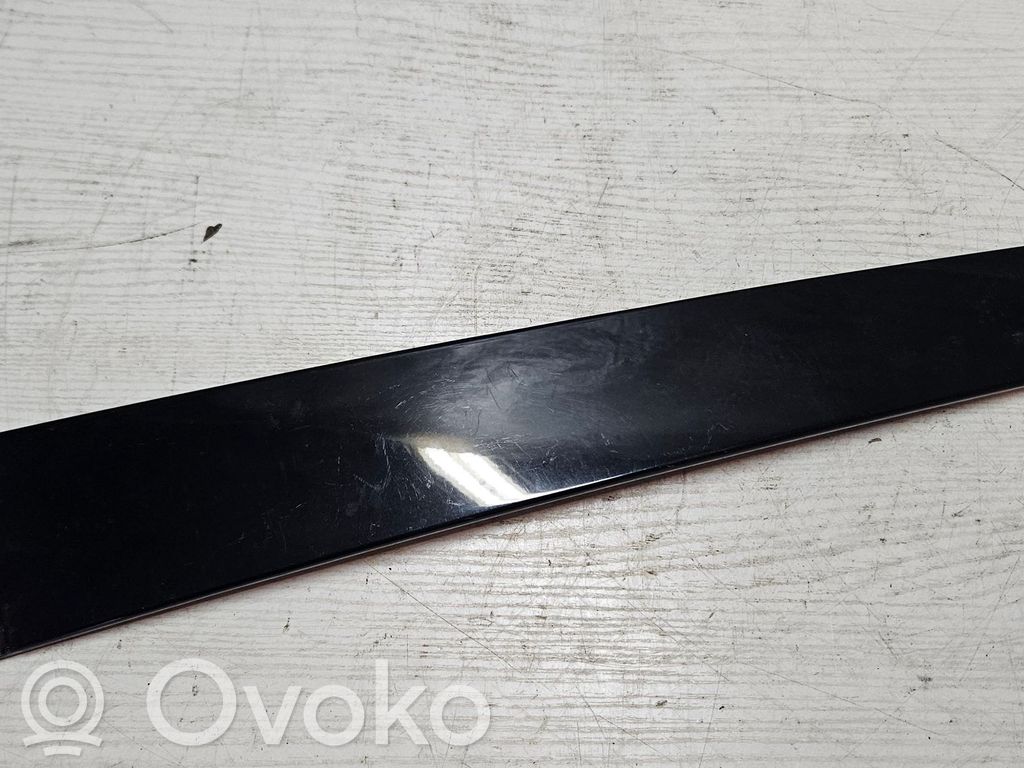 Chrysler Pacifica Front door glass trim molding 