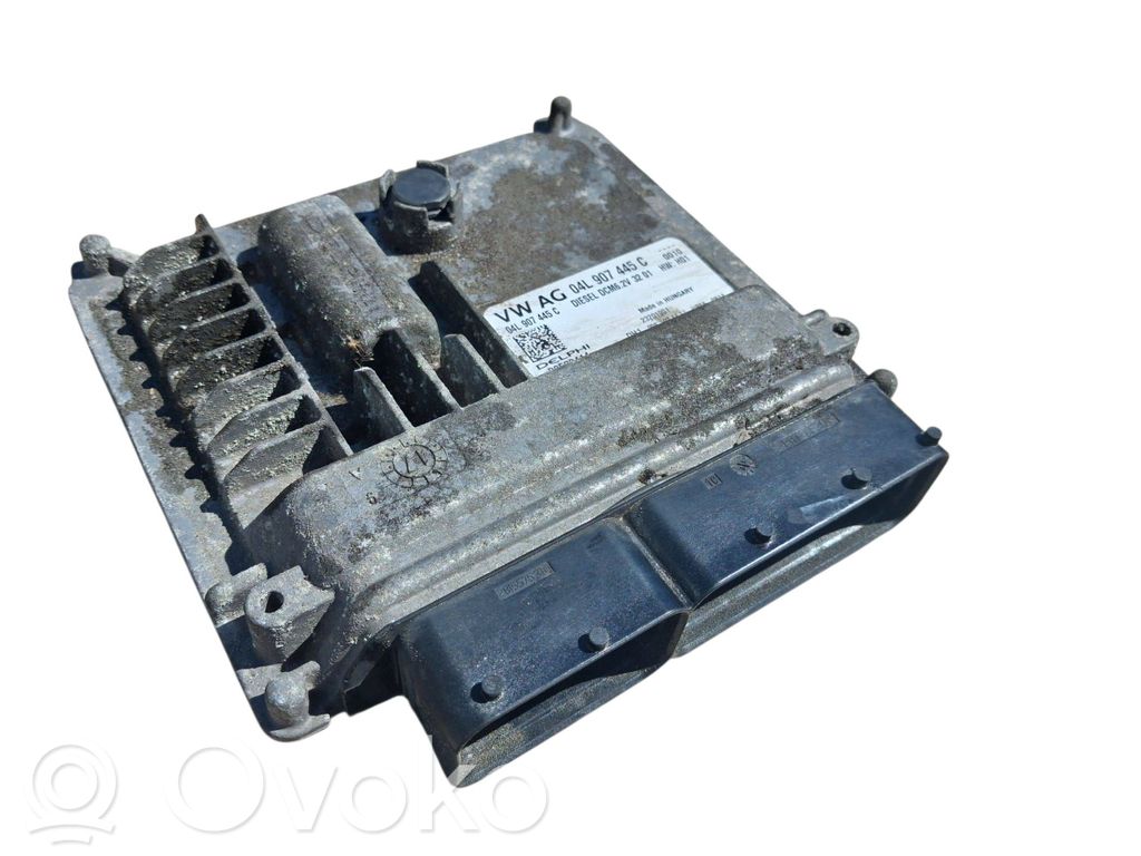 Volkswagen Crafter Engine control unit/module 