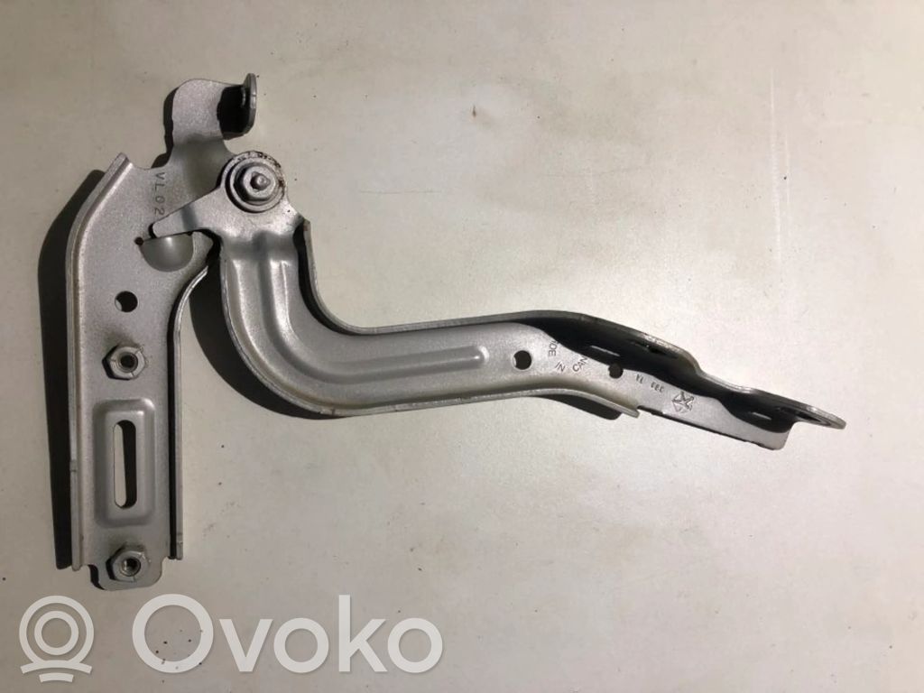 Chrysler Pacifica Balamale capotă 