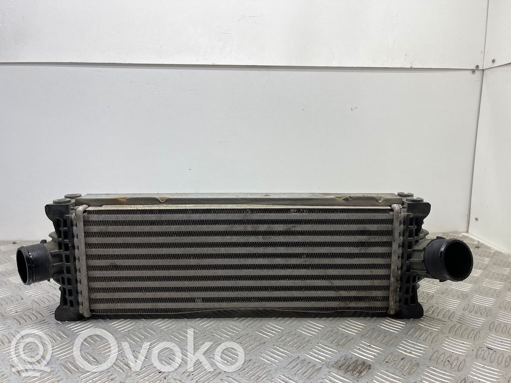 Interkūlerio radiatorius   FK8BA