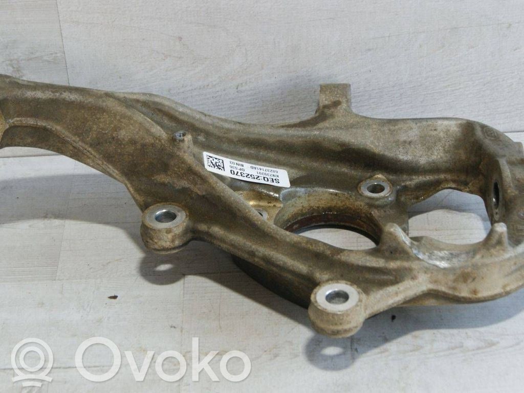 Priekinis kelmas   SEQ252370,KN739391,68237141AD