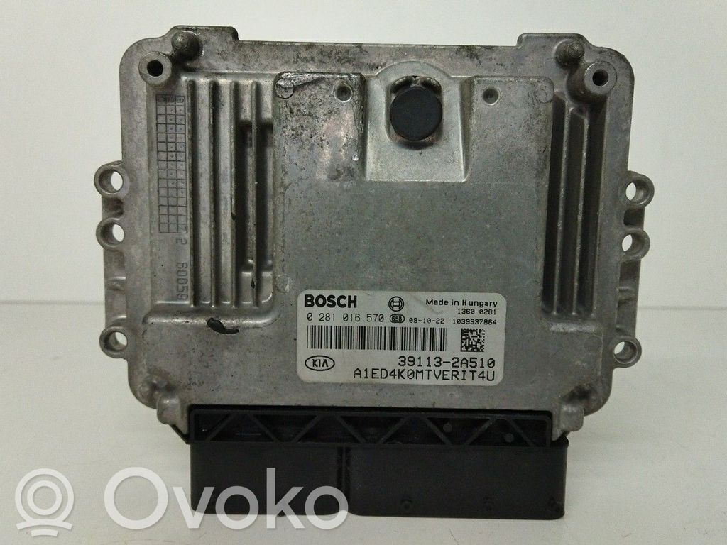 Dzinēja vadības bloks   391132A510,0281016570