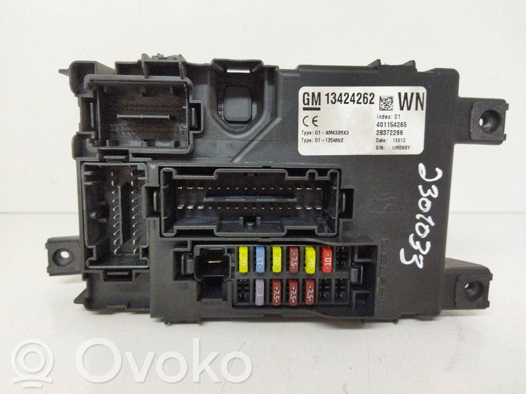 Other control units/modules   13424262