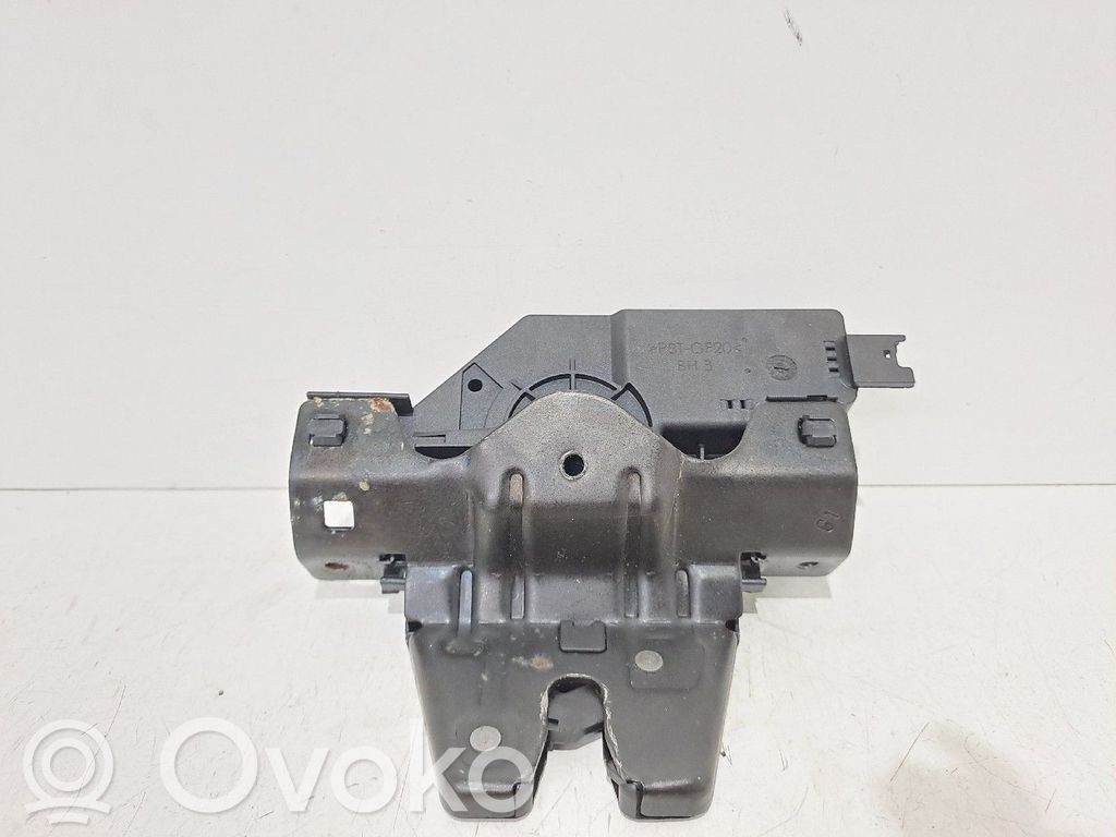 Tailgate exterior lock   8196401