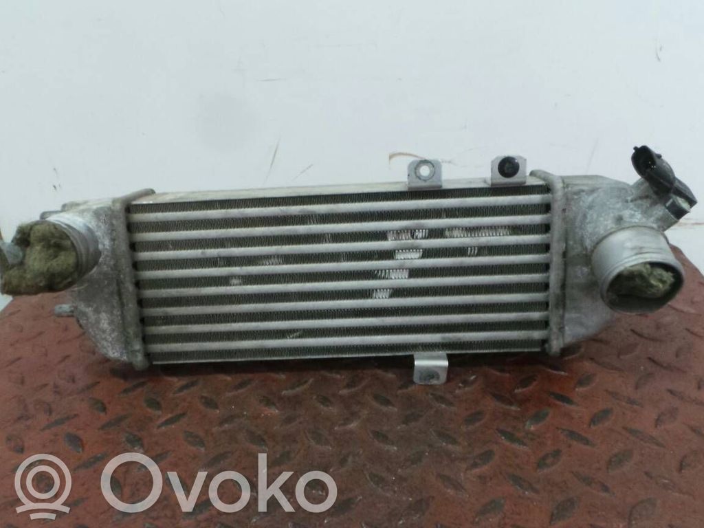Välijäähdyttimen jäähdytin   6039515,DC1803008