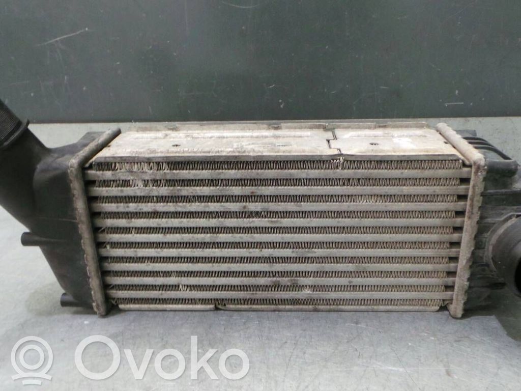 Peugeot 307 Intercooler radiator 