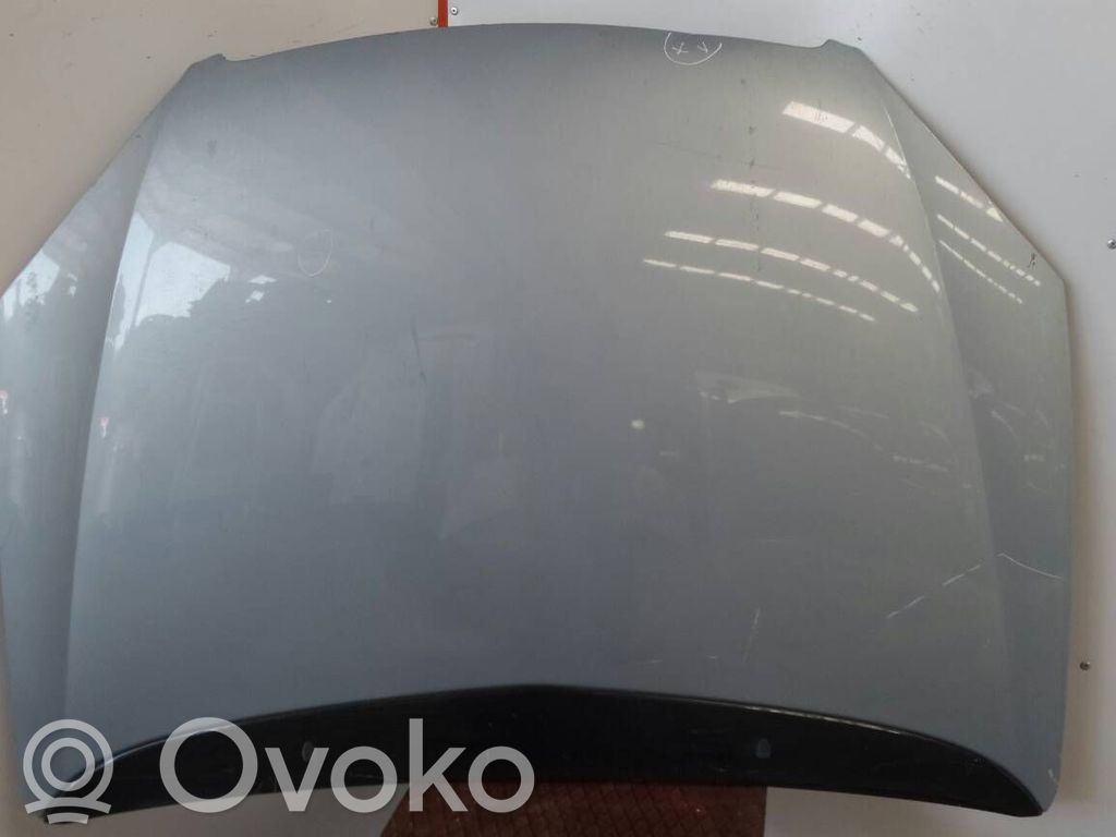 Citroen C5 Capó/tapa del motor 