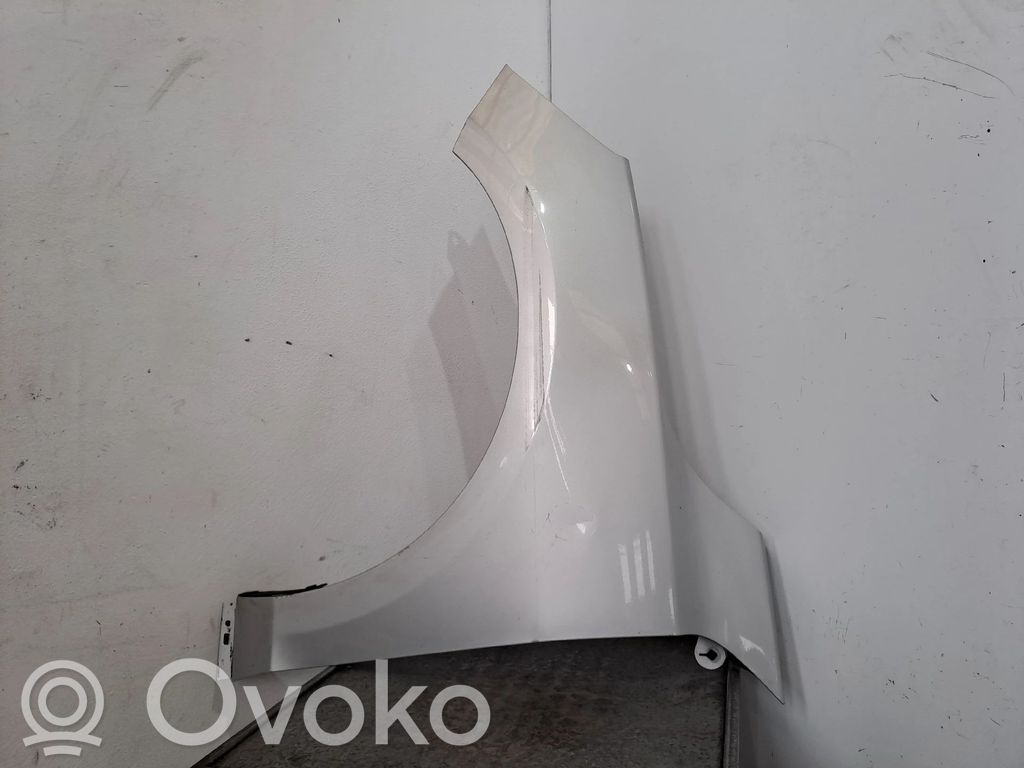 Błotnik przedni   JX7BA16016AD,2621784
