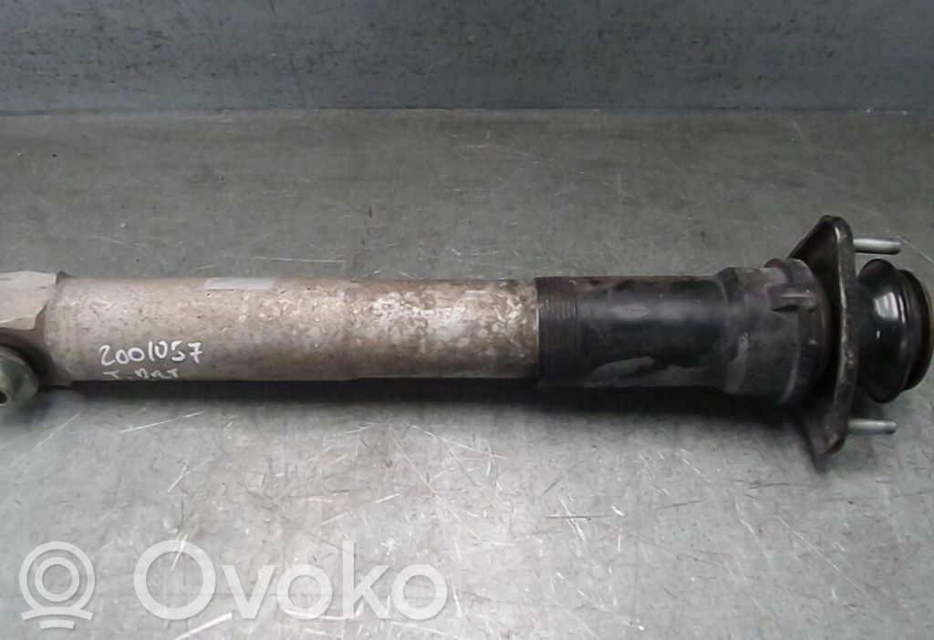 Stoßdämpfer hinten