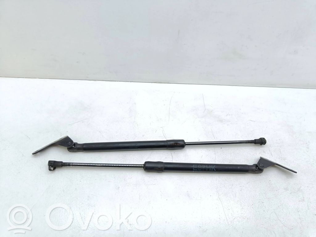 BMW 1 E81 E87 Tailgate/trunk strut/damper 