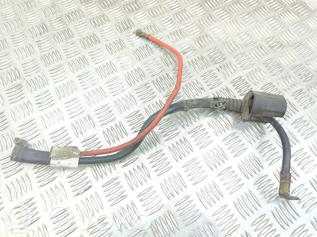 Plusa vads (akumulatora)