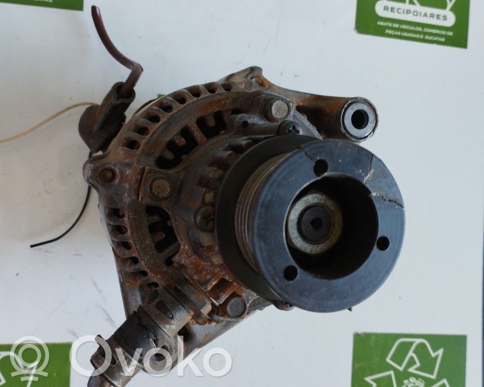 Generatore/alternatore   1002132272