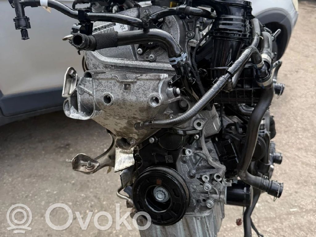 Motor