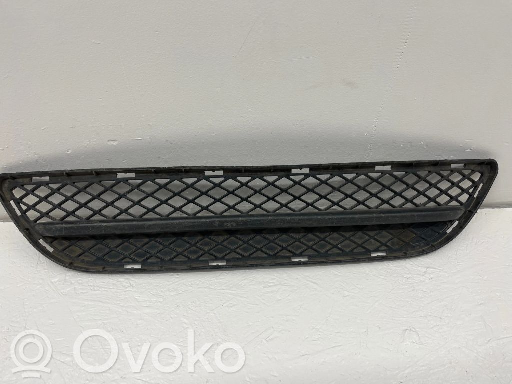 Front bumper lower grill   51117154555