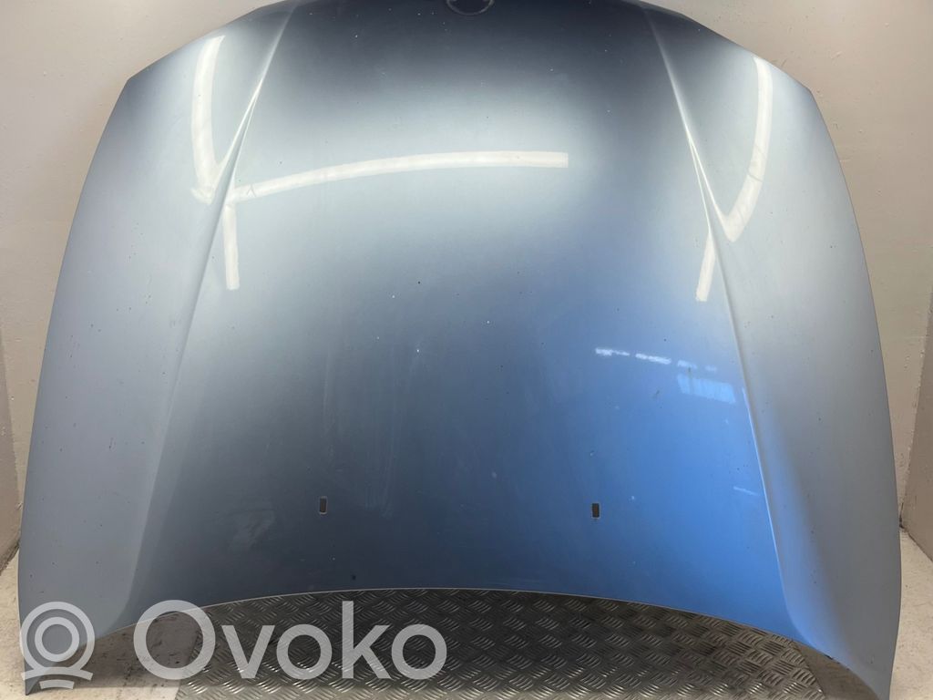 Motorhaube   6985512