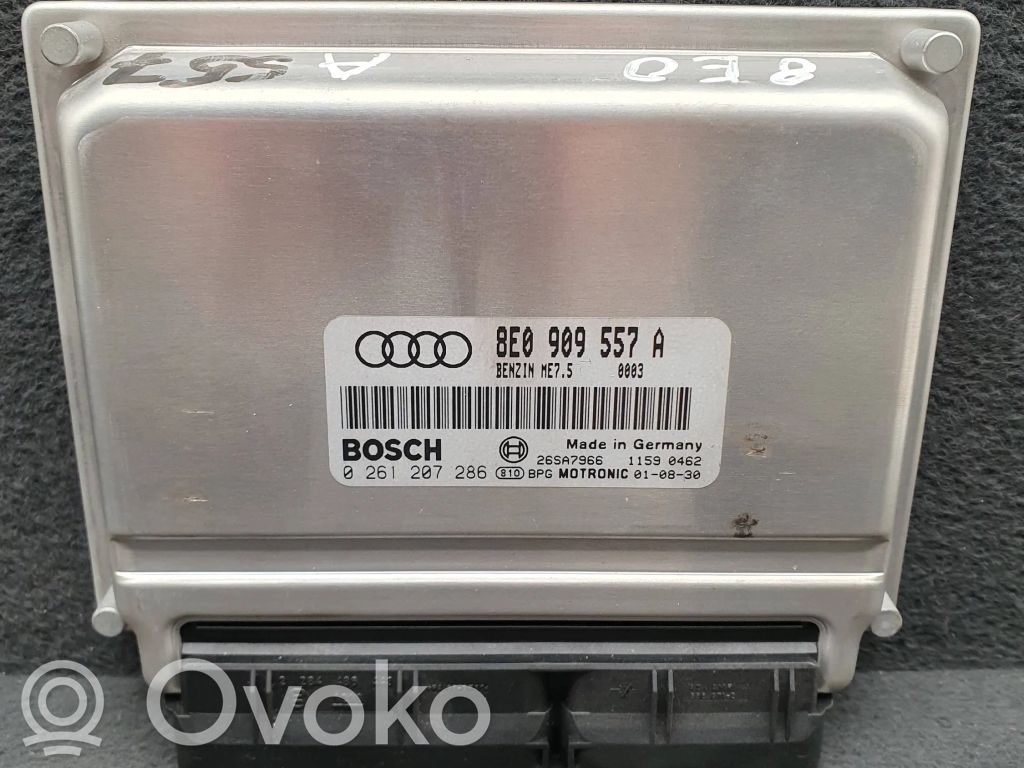 Audi A4 S4 B6 8E 8H Engine control unit/module 