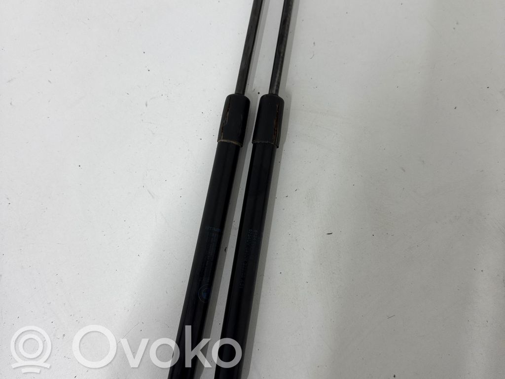 Tailgate/trunk strut/damper   51247060622,5754UY0400N