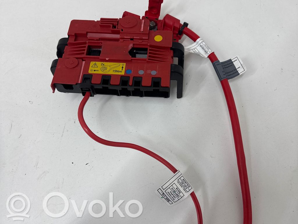 Cableado positivo   15974510,EGJ43X,9207521