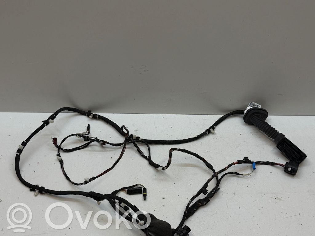 BMW X3 G01 Cableado de puerta trasera 