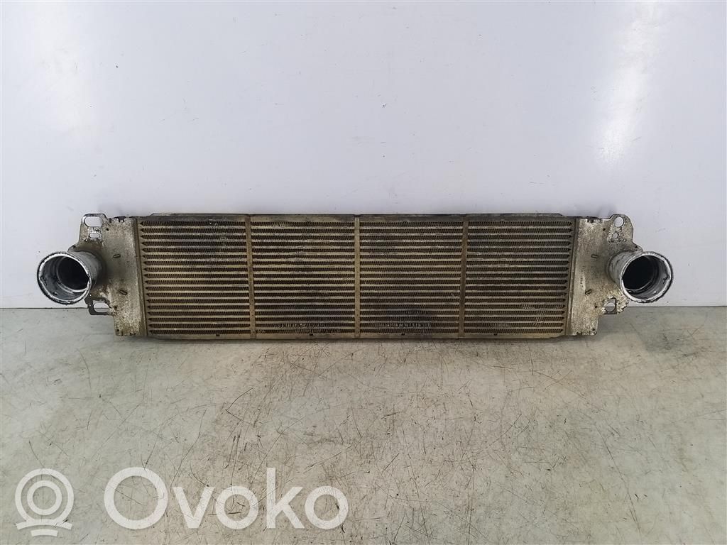 Volkswagen Transporter - Caravelle T5 Chłodnica powietrza doładowującego / Intercooler 