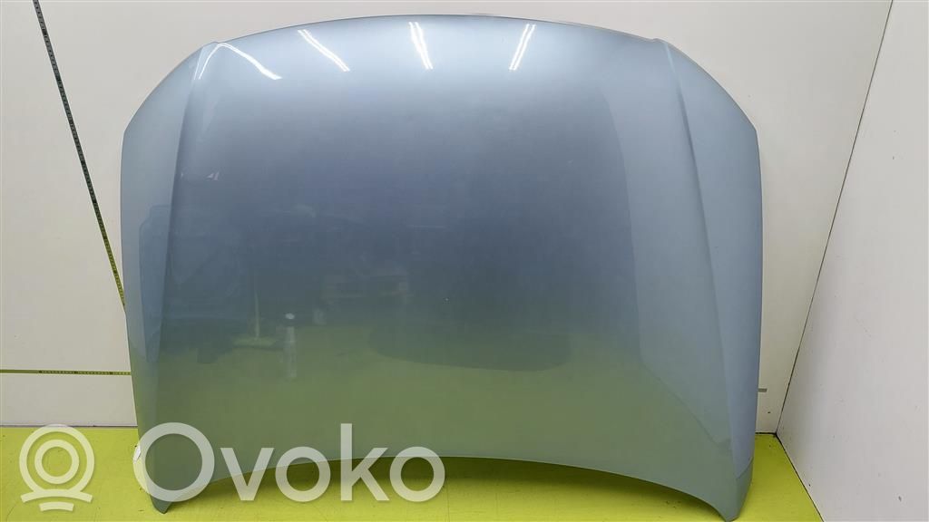 Dzinēja pārsegs (vāks)   LB5M