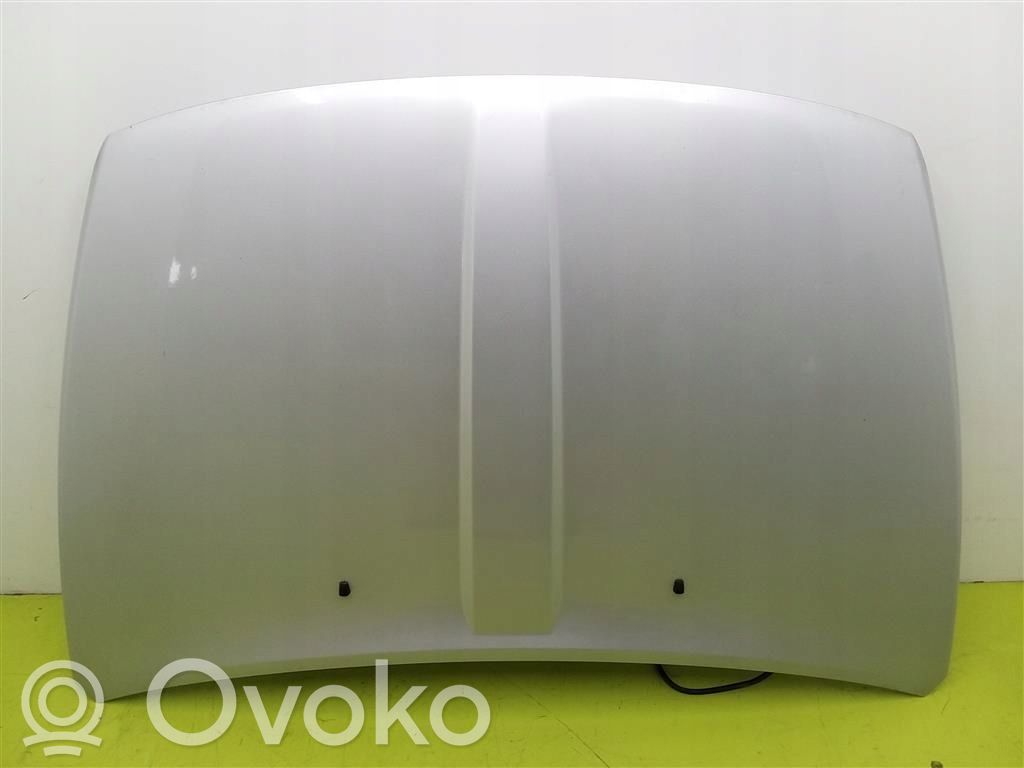 Engine bonnet/hood