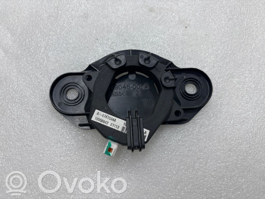 Tesla Model S Aerial antenna amplifier 