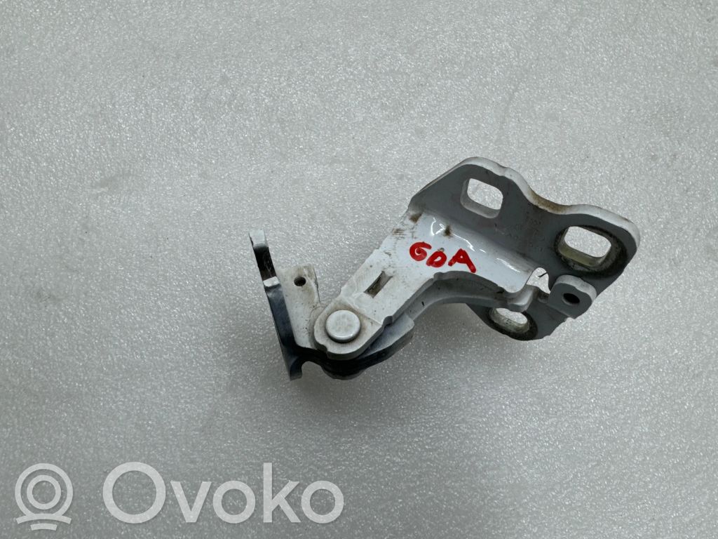 Rear door lower hinge   A046571