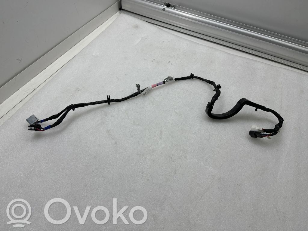 Tesla Model X Cableado de puerta trasera 