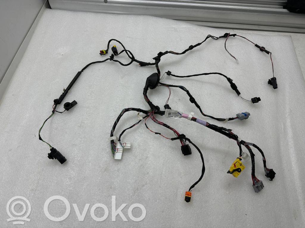 Cableado de puerta trasera   103244180G,S3467092,S34670926589