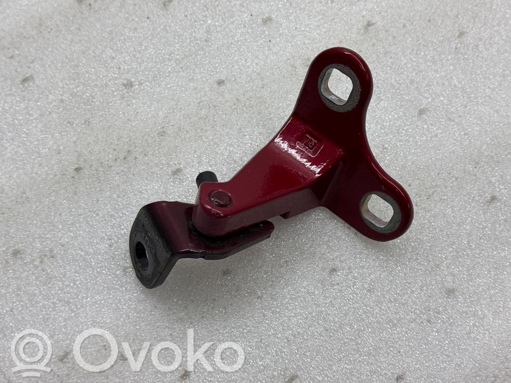 Tesla Model Y Rear door lower hinge 