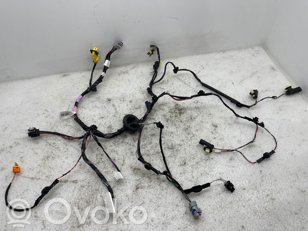 Tesla Model X Cableado de puerta trasera 