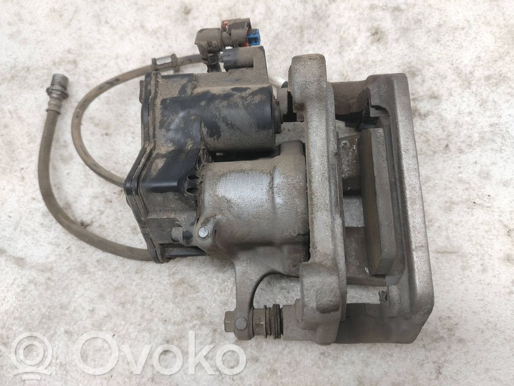 Takajarrusatula   A130333520