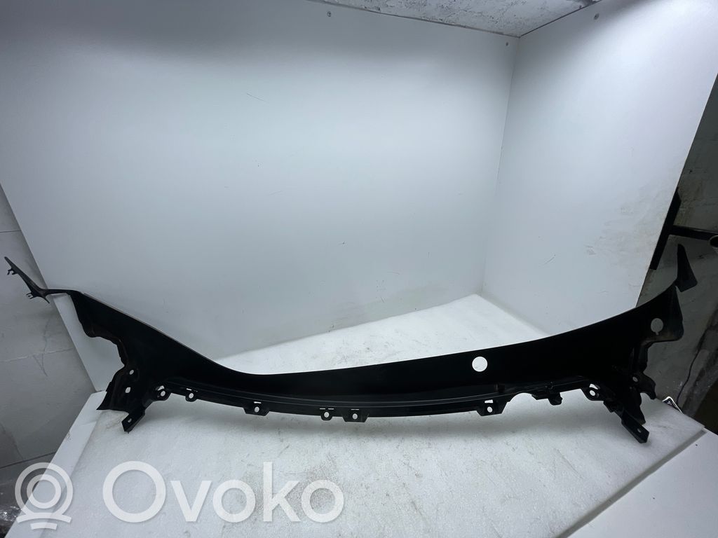 Tesla Model 3 Valytuvų apdaila (-os) 