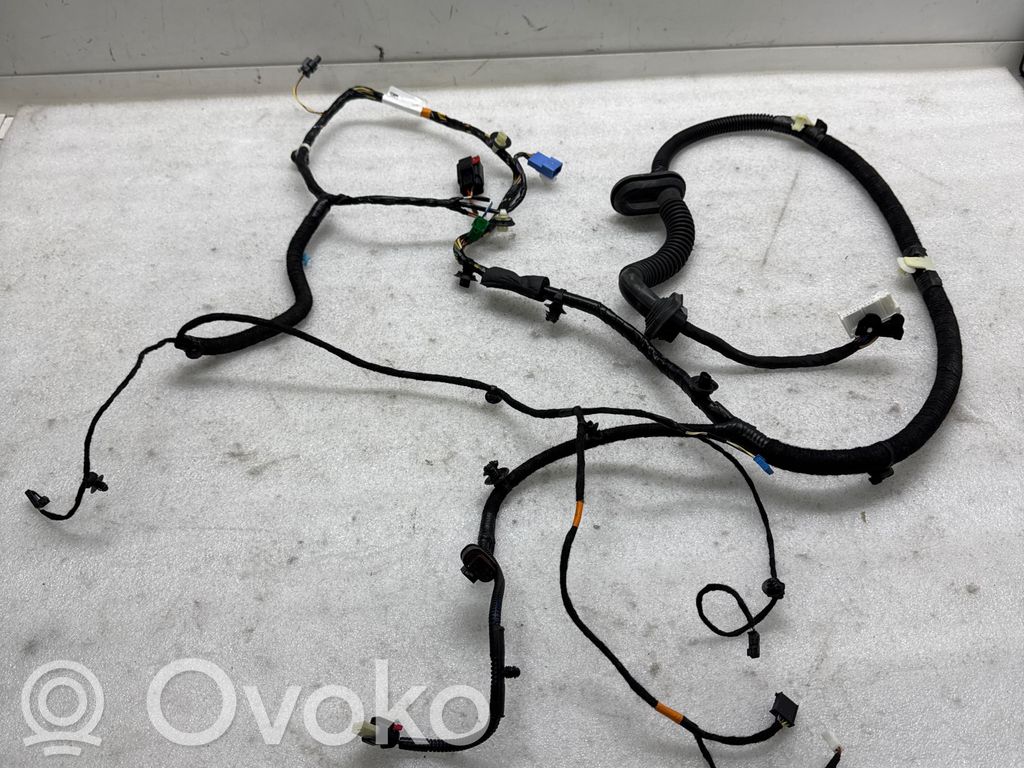 Tesla Model Y Cableado de puerta delantera 