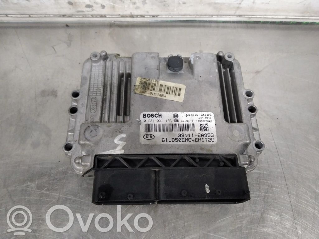 Engine control unit/module   0281031493
