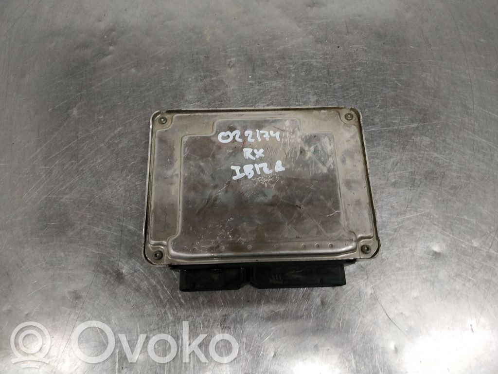Seat Ibiza III (6L) Engine control unit/module 