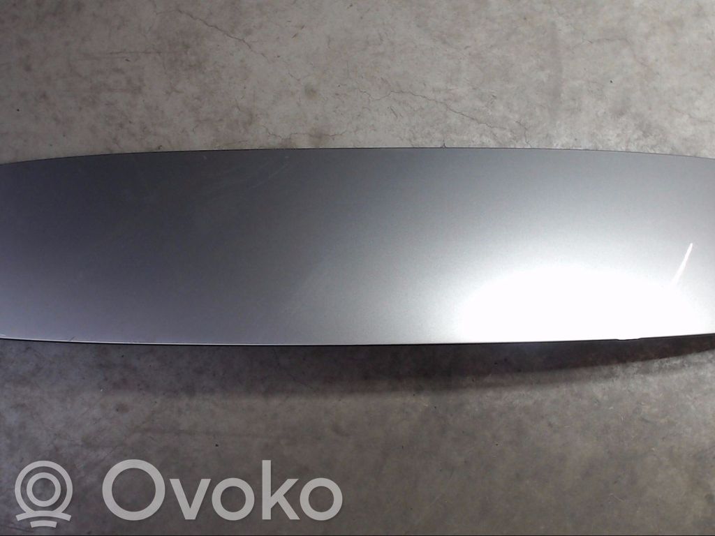 Tailgate/trunk spoiler   7188184