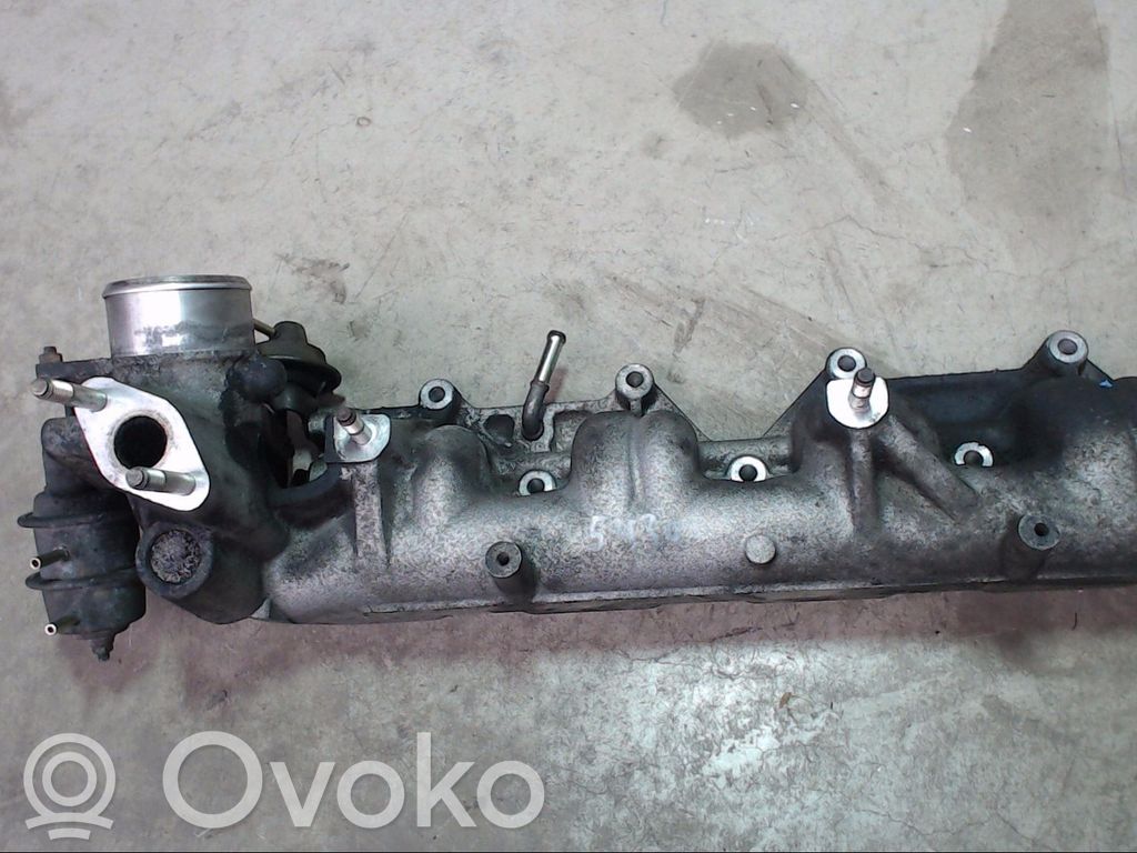 Engine cover (trim)